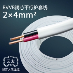 BVVB2芯4平方護套線明線 100米/卷