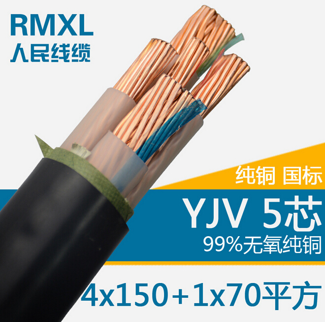 國標(biāo)純銅五芯4*150+1*70